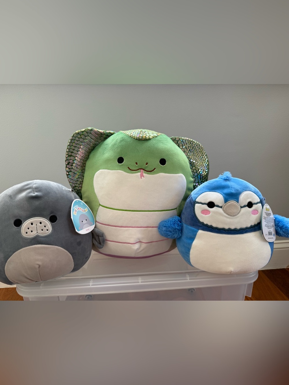 Three piece Squishmallows Bundle!